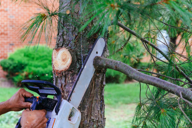 Reliable Lindenhurst, IL Tree Removal and Landscaping Services Solutions